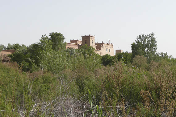 Vue depuis les jardins