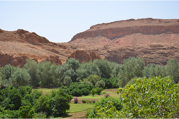 Vue sur les jardins